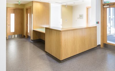 Portfolio item Bespoke Reception Desks